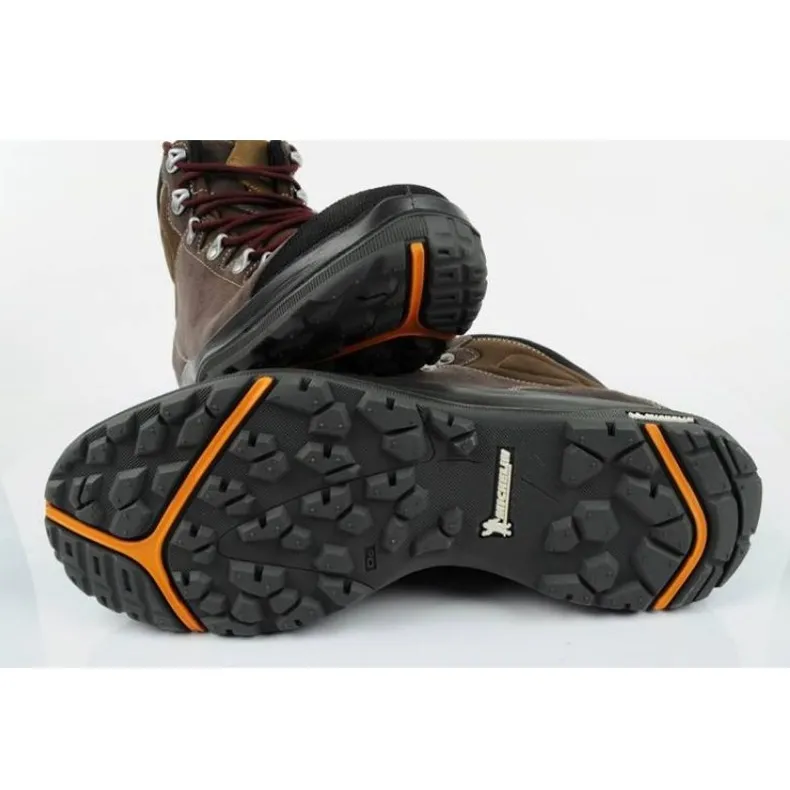 Shoes Aku Evergreen Gtx M TYW5M050 brown